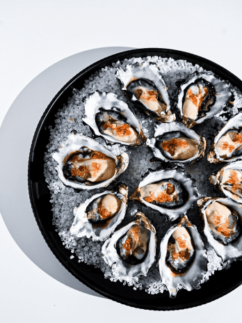 Oysters on ice served in a black dish, highlighting fresh seafood presentation.