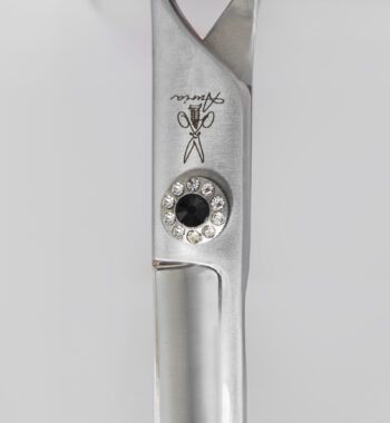 tornillo_brillante_negro