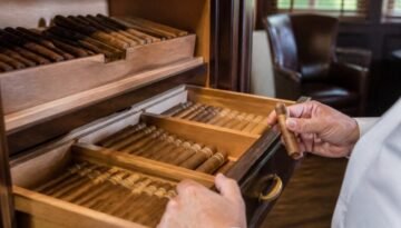 how-to-store-premium-cigars-properly-a-complete-guide-1791969634