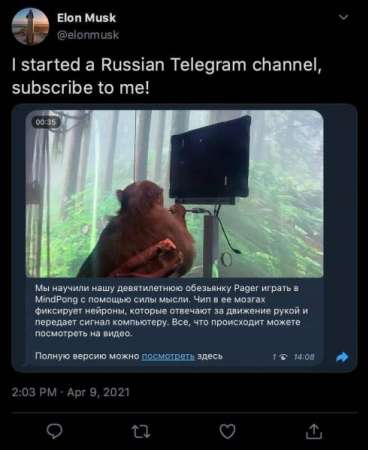 Логотип телеграмм канала - Илон Маск в Телеграмм: следите за гением! - Блоги