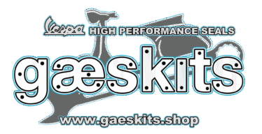 GAESKITS
