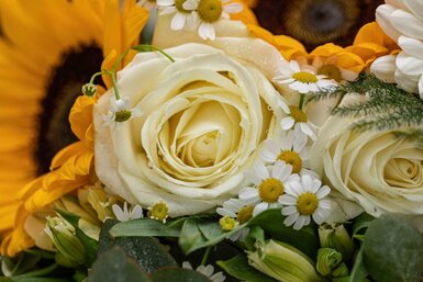 KirstyDavidWedding-1003