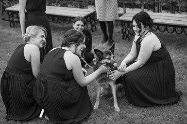 Tom & Louise's Wedding-1043