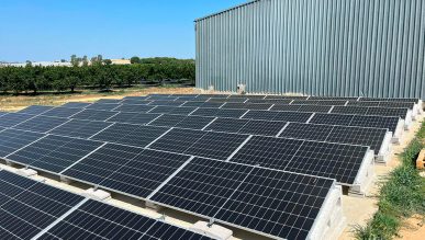 Agrícola Samaria (Finca Barandules)