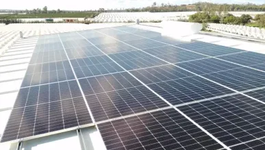 Fresas La Mimbre proyecto instalación fotovoltaico