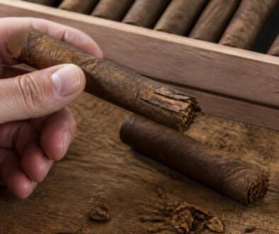 signs-of-dried-out-cigar-tobacco-a-guide-1792563038