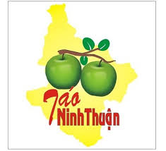 This image has an empty alt attribute; its file name is Một-số-nhãn-hiệu-tập-thể-ở-Việt-Nam.jpg