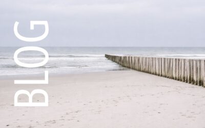 Klar führen: Warum Klarheit der wichtigste Führungsfaktor ist