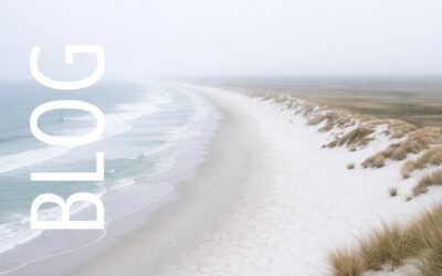 Neues Jahr, neue Klarheit: Warum Führung bei Dir selbst beginnt