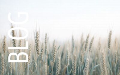 Feine Wahrnehmung als Stärke in der Führung