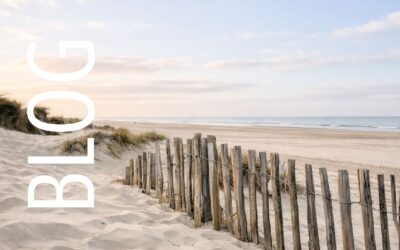 Struktur, die entlastet: Warum Organisation nichts mit Kontrolle zu tun hat