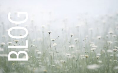 Wenn Abläufe unklar sind: Wie Kommunikation Ordnung schafft