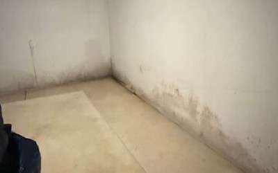 Top 10 Signs Your Basement Needs Waterproofing