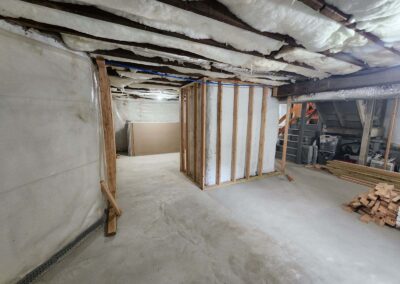 Basement Waterproofing Mold Remediation Water Damage Restoration Sump Pump Installation Crawl Space Encapsulation Basement Remodeling