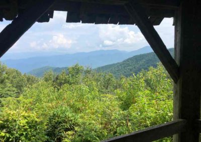 Craggy Garden Overlook