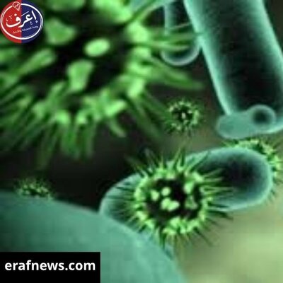فيروس هانتا