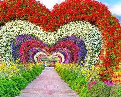 جولة ممتعة داخل إحدى حدائق دبي الترفيهية العالمية التي تضم ألعاباً وعروضاً عائلية مذهلة.