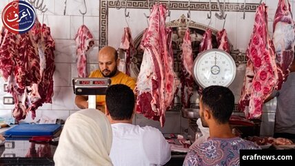 أسعار اللحوم اليوم