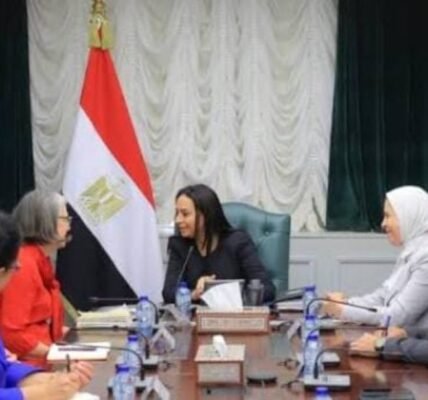 جسور الحماية بين القاهرة وروما.. عندما تلتقي خبرات الشمال بالجنوب