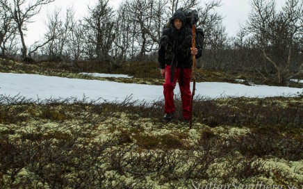 Vandring i regn.