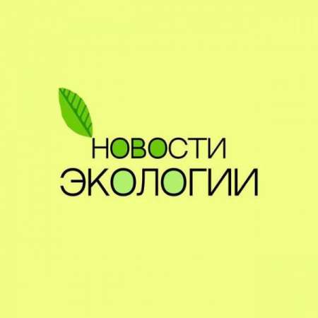 Логотип телеграмм канала - Новости экологии: свежие идеи и тренды в телеграмм - Здоровье и Спорт