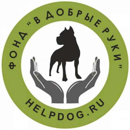 Логотип телеграмм канала - Приют для амстаффов и питбулей в телеграме: поддержи! - Блоги