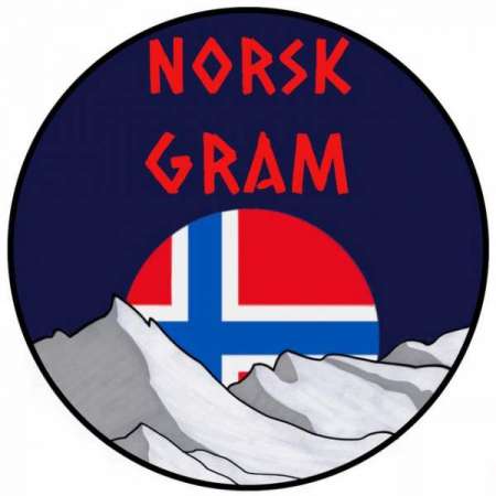 Логотип телеграмм канала - Изучайте норвежский язык с NorskGram в Telegram! - Образовательные