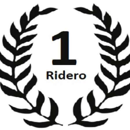 Логотип телеграмм канала - Лучшие новые книги дня на телеграм-канале Ridero - Образовательные