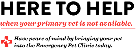 here to help logo