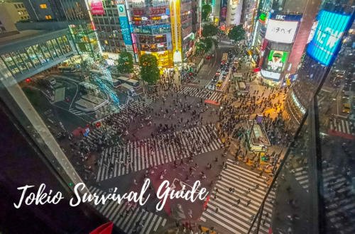 tokio survival guide