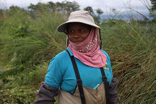 Mujer agricultora en el campo