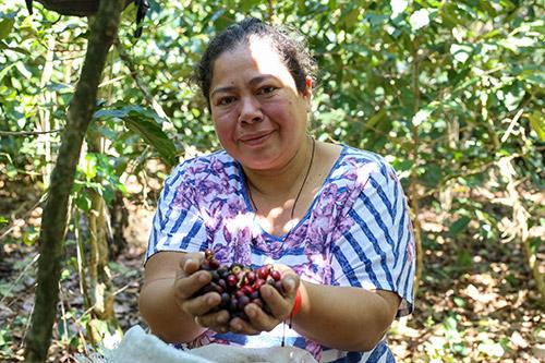 Mujer en el campo sosteniendo granos de cacao