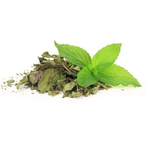 Herbstore Μέντα 40gr