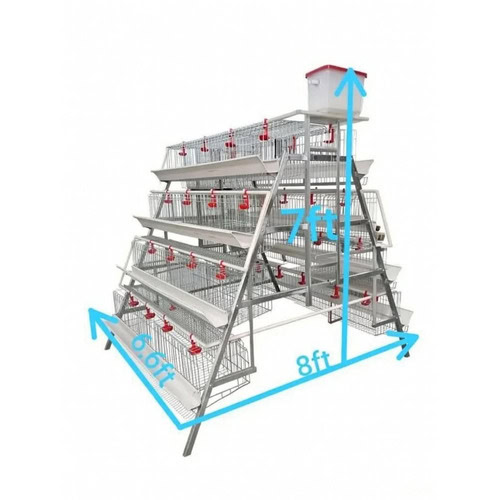 A Shape Layer Cage 128 Birds Kenya Mwamu