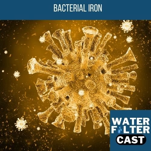 How to Remove Iron From Well Water Naturally? 6 bacterial iron