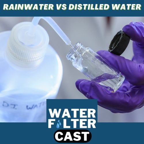 Is Rain Water Distilled? 1 Rainwater vs Distilled Water
