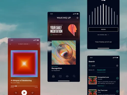 Waking Up App von Sam Harris, eine App für Meditation und Achtsamkeit mit geführten Sessions