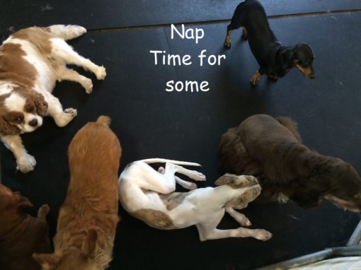 nap time