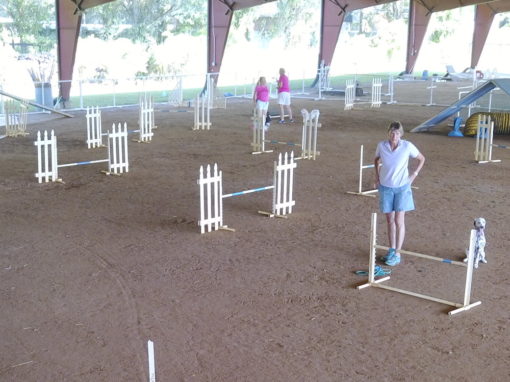 Arena Agility