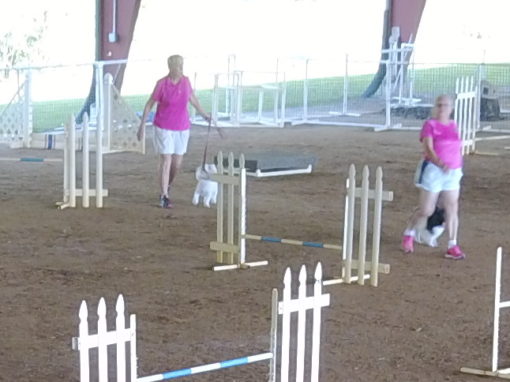 girls in pink