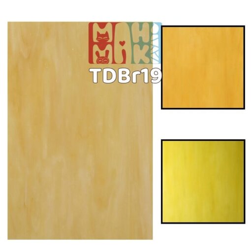 TDBr19