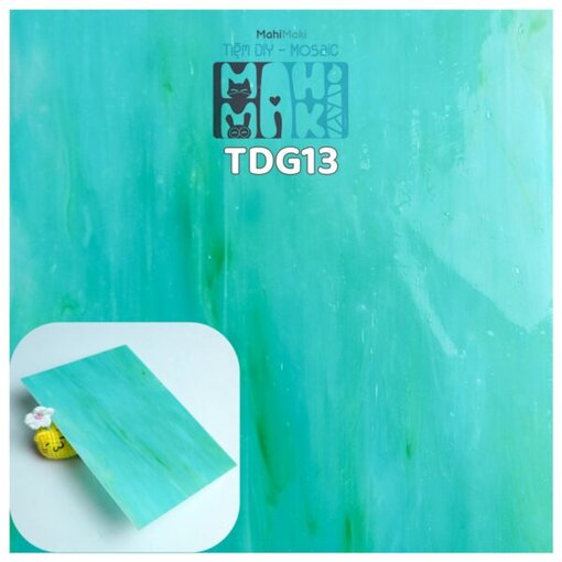 TDG13