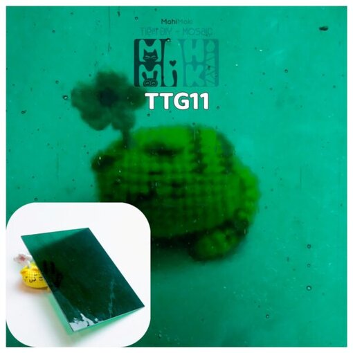 TTG11