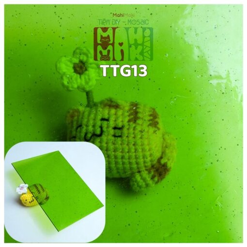 TTG13