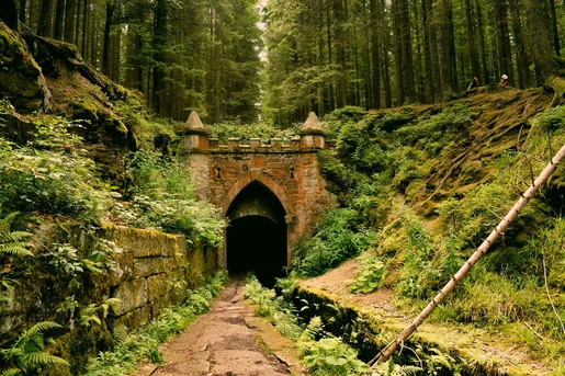 A photo of a castle in the forest as a sign of safety after the spoiler section for The Once and Future Witches by Alix. E Harrow.
