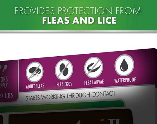 Protection from fleas and lice