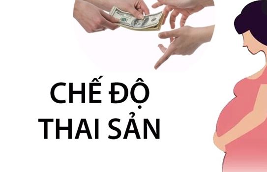 Lao động nữ mang thai trước khi ký hợp đồng lao động có được hưởng chế độ thai sản không?