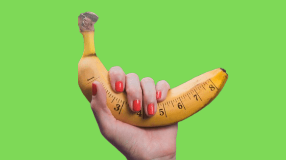 Penis Stretching Guide
