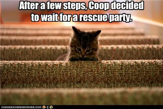 steps