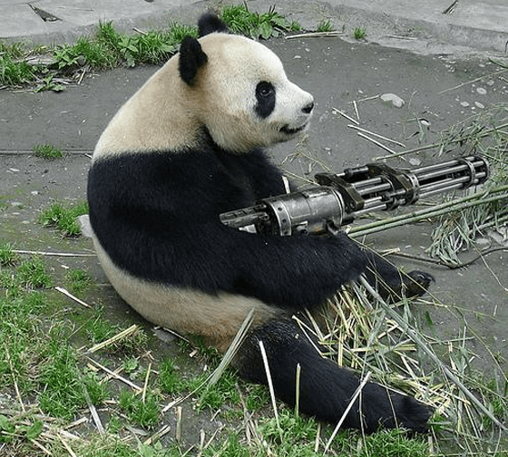 Quora Social Marketing Weapon Quora Social Marketing Weapon
